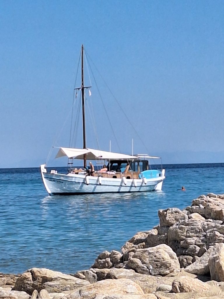 Artemida Cruises