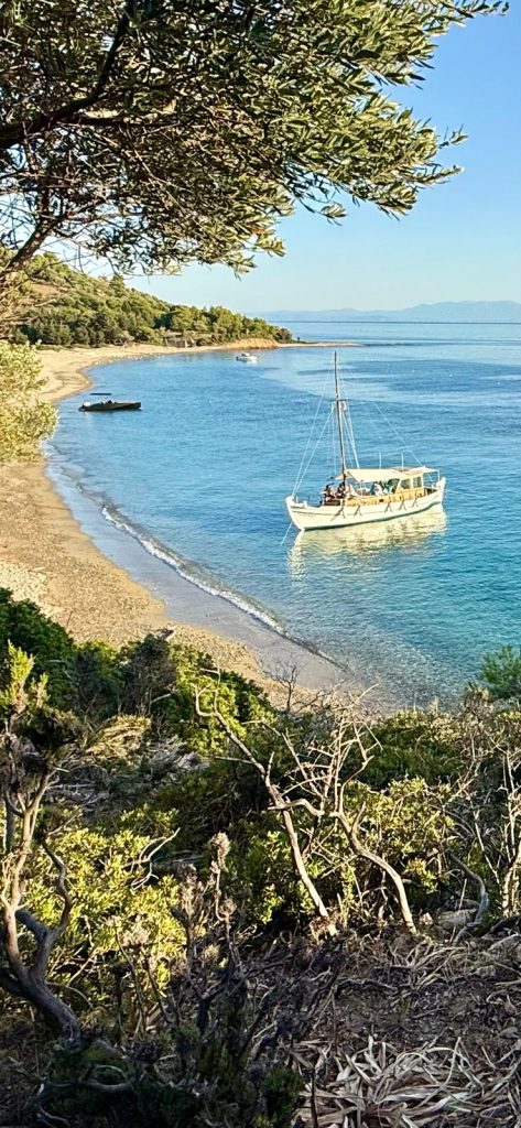 Artemida Cruises
