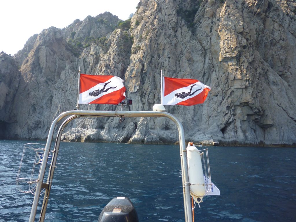 Μαχτσεβανιδου Νεκταρία και ΣΙΑ εε